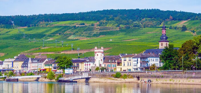 Anesha -Blick auf die Weinberge bei Ruedesheim, Deutschland