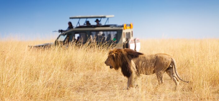 Artania -Mombasa, Safari Amboseli Park