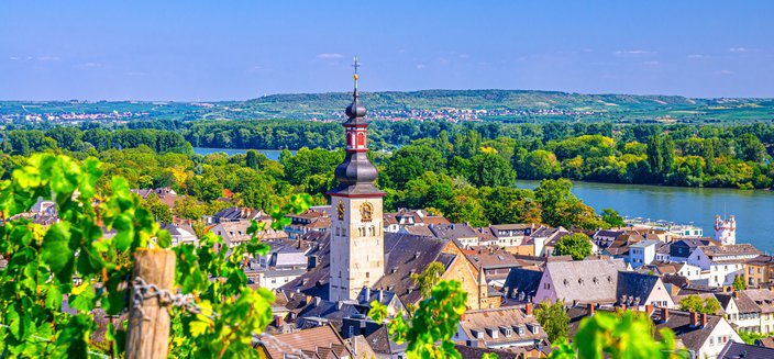 Aurelia -Rüdesheim