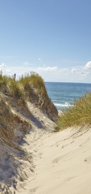 Skagen In Danemark Auf Einer Kreuzfahrt Entdecken